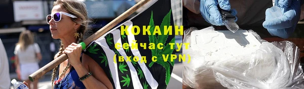 прущие грибы Белокуриха