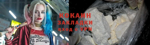 прущие грибы Белокуриха