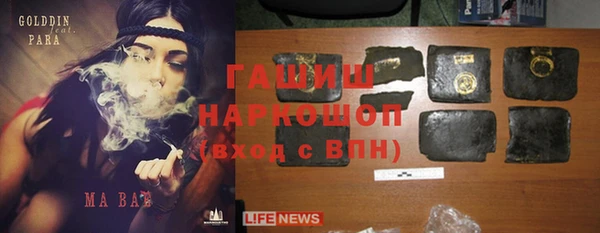 прущие грибы Белокуриха