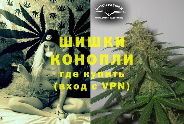 прущие грибы Белокуриха