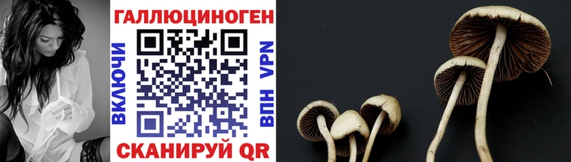 купить закладку Гусев площадка клад Галлюциногенные грибы ЛСД
